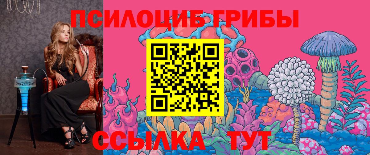 купить наркотик  Вход с VPN  Северобайкальск  Псилоцибиновые грибы Psilocybine cubensis 