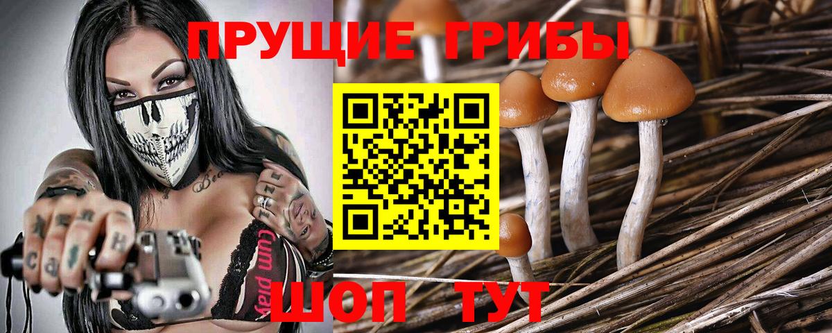 Галлюциногенные грибы ЛСД Северобайкальск